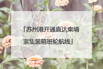 苏州港开通直达柬埔寨集装箱班轮航线