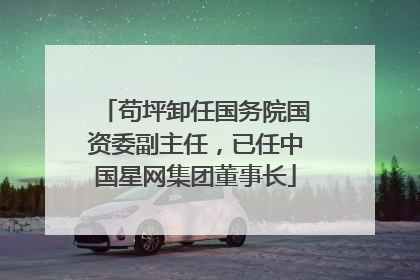 苟坪卸任国务院国资委副主任，已任中国星网集团董事长