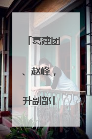 葛建团、赵峰，升副部