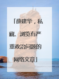 薛建华，私藏、浏览有严重政治问题的网络文章