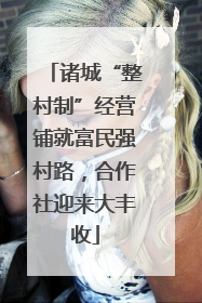 诸城“整村制”经营铺就富民强村路，合作社迎来大丰收