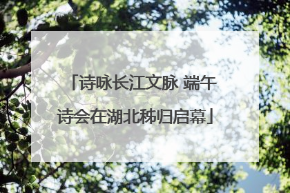 诗咏长江文脉 端午诗会在湖北秭归启幕