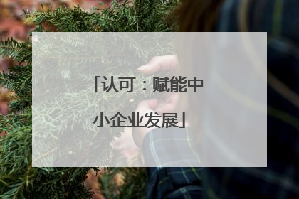 认可：赋能中小企业发展