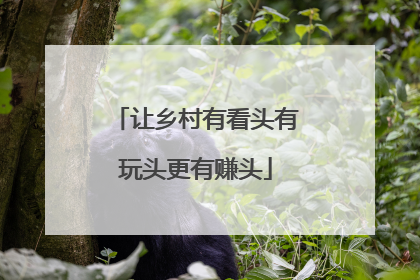 让乡村有看头有玩头更有赚头