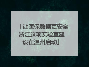 让医保数据更安全 浙江这项实验室建设在温州启动