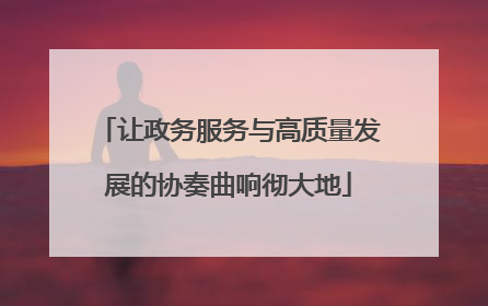 让政务服务与高质量发展的协奏曲响彻大地