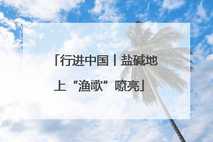 行进中国丨盐碱地上“渔歌”嘹亮