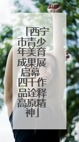 西宁市青少年美育成果展启幕 四千作品诠释高原精神