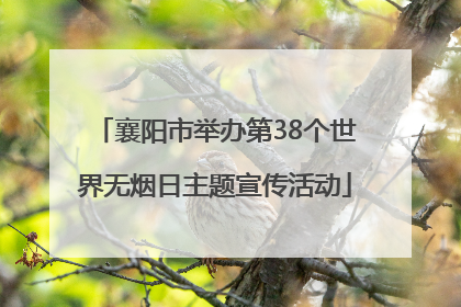 襄阳市举办第38个世界无烟日主题宣传活动