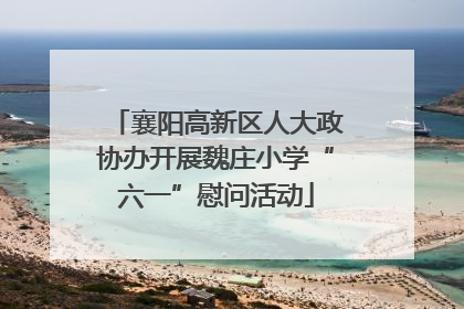 襄阳高新区人大政协办开展魏庄小学“六一”慰问活动