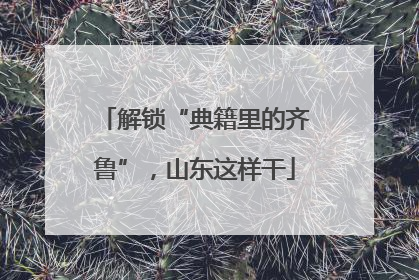 解锁“典籍里的齐鲁”，山东这样干