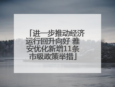 进一步推动经济运行回升向好 雅安优化新增11条市级政策举措