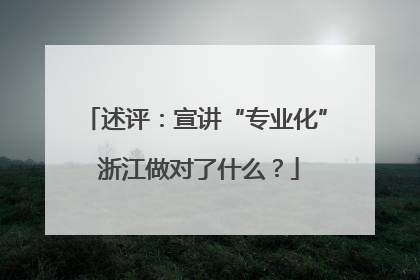 述评：宣讲“专业化” 浙江做对了什么？