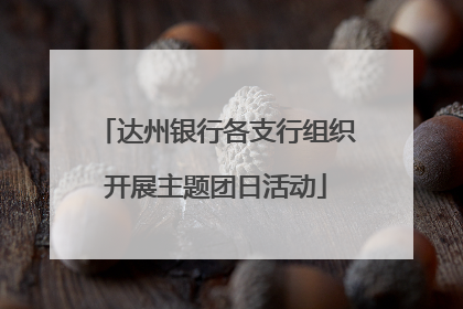 达州银行各支行组织开展主题团日活动