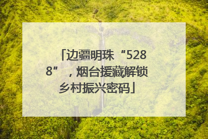 边疆明珠“5288”，烟台援藏解锁乡村振兴密码