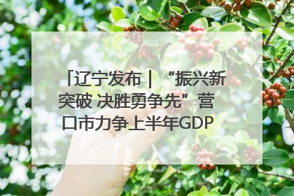 辽宁发布｜“振兴新突破 决胜勇争先”营口市力争上半年GDP增长6%左右
