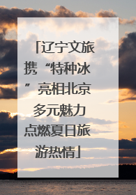 辽宁文旅携“特种冰”亮相北京 多元魅力点燃夏日旅游热情