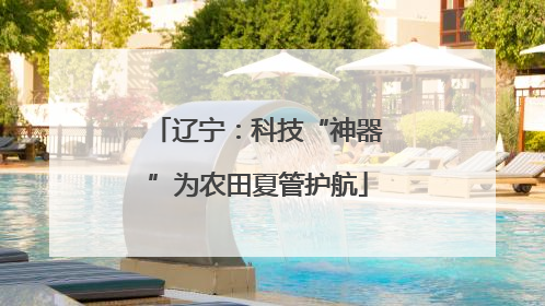 辽宁：科技“神器”为农田夏管护航