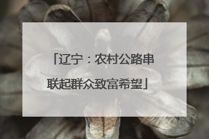 辽宁：农村公路串联起群众致富希望