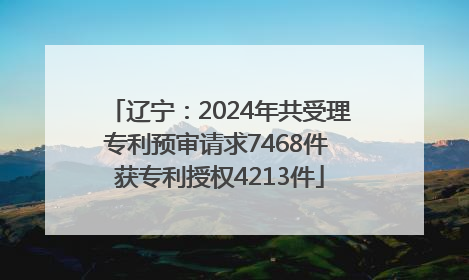 辽宁：2024年共受理专利预审请求7468件 获专利授权4213件