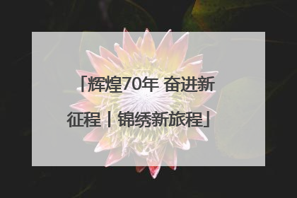 辉煌70年 奋进新征程丨锦绣新旅程
