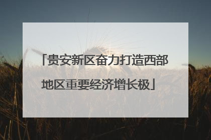 贵安新区奋力打造西部地区重要经济增长极