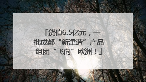货值6.5亿元，一批成都“新津造”产品组团“飞向”欧洲！