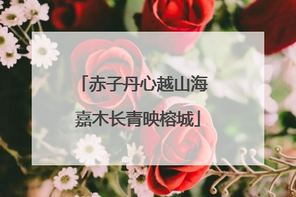 赤子丹心越山海 嘉木长青映榕城