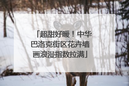 超甜好暖！中华巴洛克街区花卉墙画浪漫指数拉满