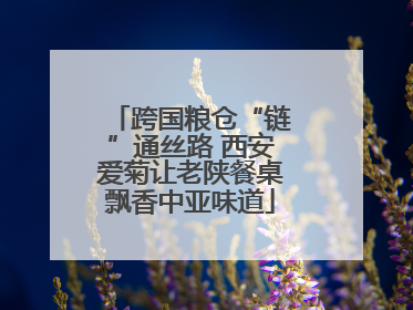 跨国粮仓“链”通丝路 西安爱菊让老陕餐桌飘香中亚味道