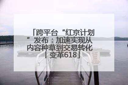 跨平台“红京计划”发布：加速实现从内容种草到交易转化丨变革618