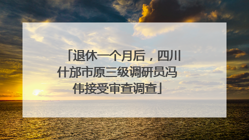 退休一个月后，四川什邡市原三级调研员冯伟接受审查调查
