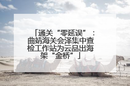 通关“零延误”：曲靖海关会泽集中查检工作站为云品出海架“金桥”