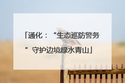 通化：“生态巡防警务”守护边境绿水青山