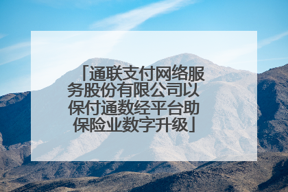 通联支付网络服务股份有限公司以保付通数经平台助保险业数字升级