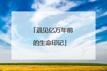 遇见亿万年前的生命印记