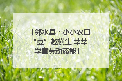邻水县：小小农田“豆”趣横生 莘莘学童劳动添能