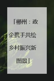 郴州：政企携手共绘乡村振兴新图景