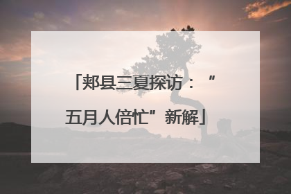 郏县三夏探访：“五月人倍忙”新解