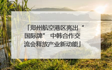 郑州航空港区亮出“国际牌” 中韩合作交流会释放产业新动能