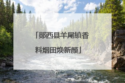 郧西县羊尾镇香料烟田焕新颜