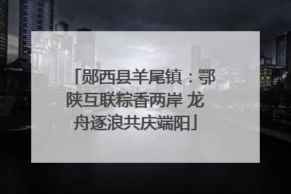 郧西县羊尾镇：鄂陕互联粽香两岸 龙舟逐浪共庆端阳