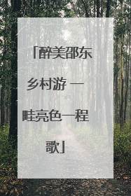醉美邵东乡村游 一畦亮色一程歌