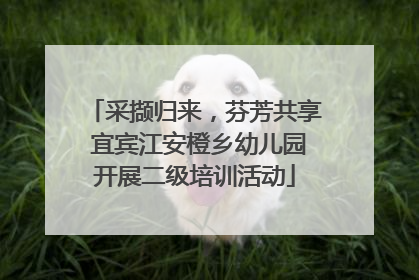 采撷归来，芬芳共享 宜宾江安橙乡幼儿园开展二级培训活动