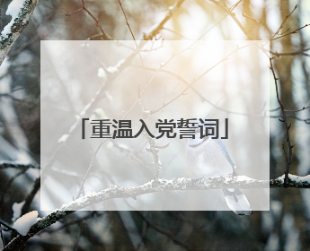 重温入党誓词
