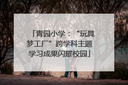 青园小学：“玩具梦工厂”跨学科主题学习成果闪耀校园