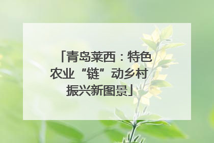 青岛莱西：特色农业“链”动乡村振兴新图景
