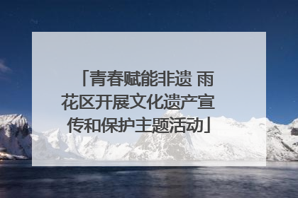 青春赋能非遗 雨花区开展文化遗产宣传和保护主题活动