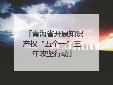 青海省开展知识产权“五个一”三年攻坚行动