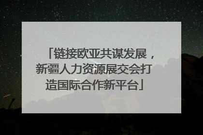 链接欧亚共谋发展，新疆人力资源展交会打造国际合作新平台